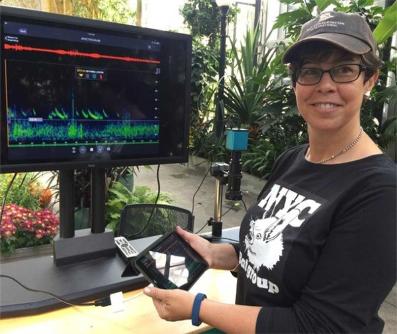Bat expert Danielle Gustafson