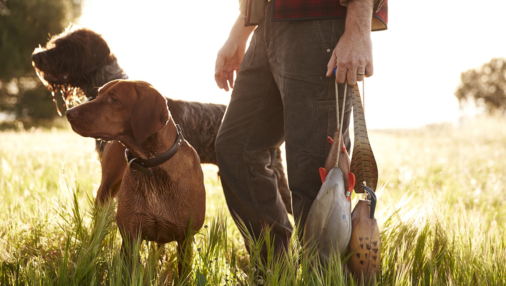 Premium Dog Beds. Reward your faithful companion after a long day outdoors with one of our super comfortable beds.