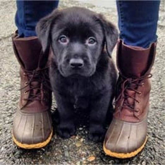 L.L.Bean Boots with puppy