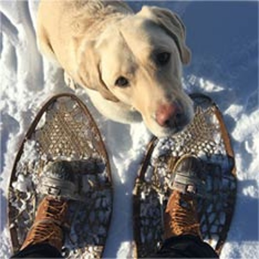 L.L.Bean Boots with a dog in the snow