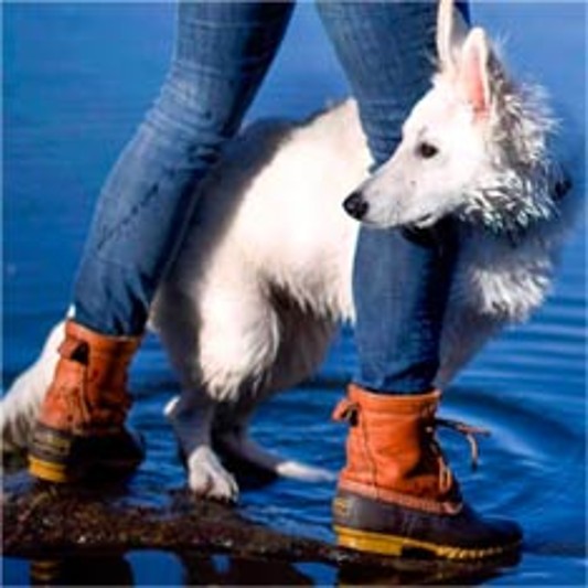 Person in L.L.Bean Boots walking on the shore with their dog