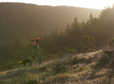 Hunter walking with dog at dawn up a hill.