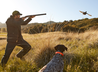 Upland hunter with dog and pheasant in flight.