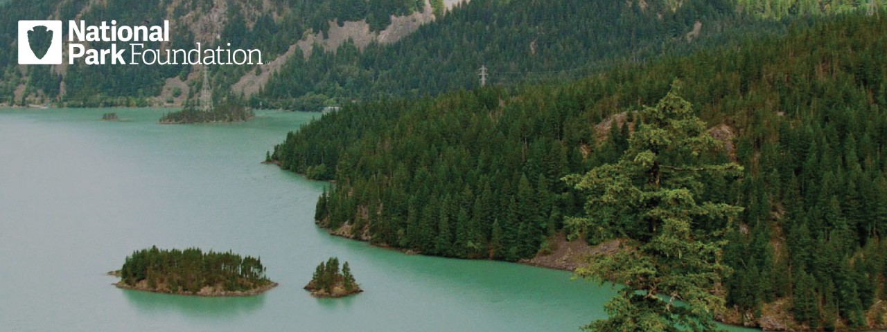 A beautiful view of green water, islands, mountains and trees.