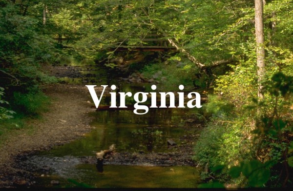 Virginia