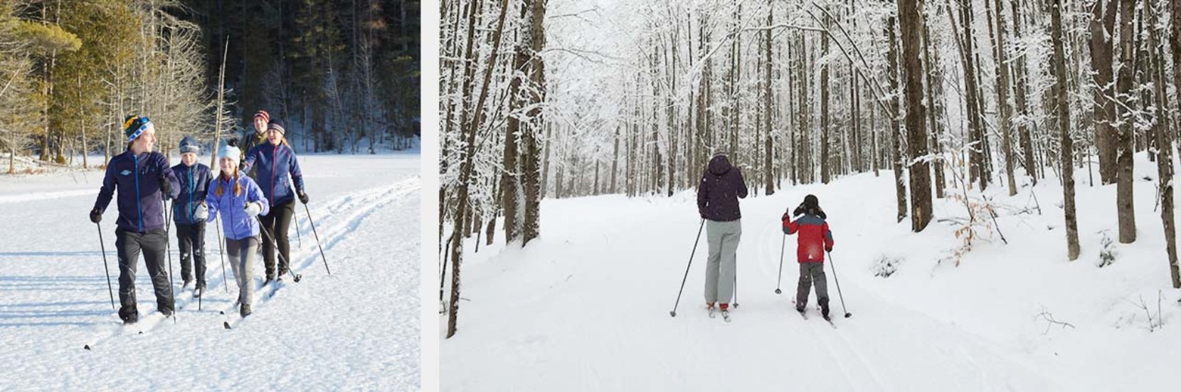 Family cross country skiing and a mother and son cross country skiing through the wintry woods.