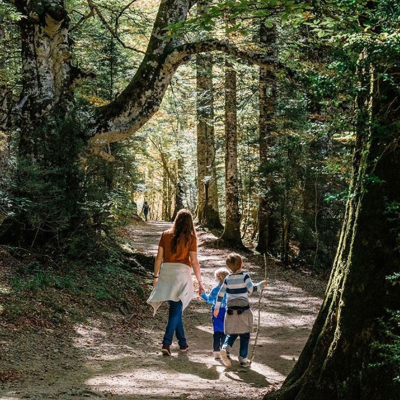 A mom and 2 kids hiking on a trail together with 2 other hikers in the distance