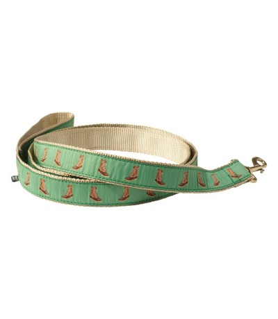 Novelty Dog Collar & Leash