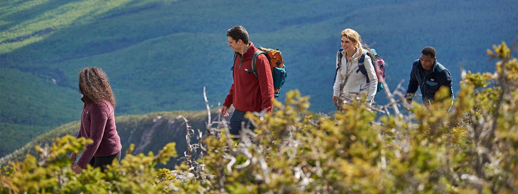 Group of friends hiking near the top of a mountain, a beautiful valley below.