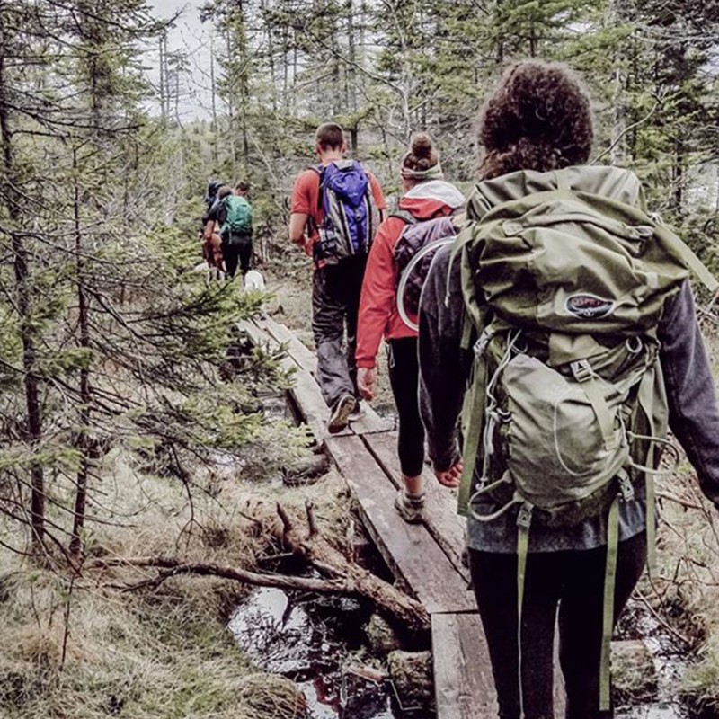 Several people with day packs walking on a raised wooden path in the woods.