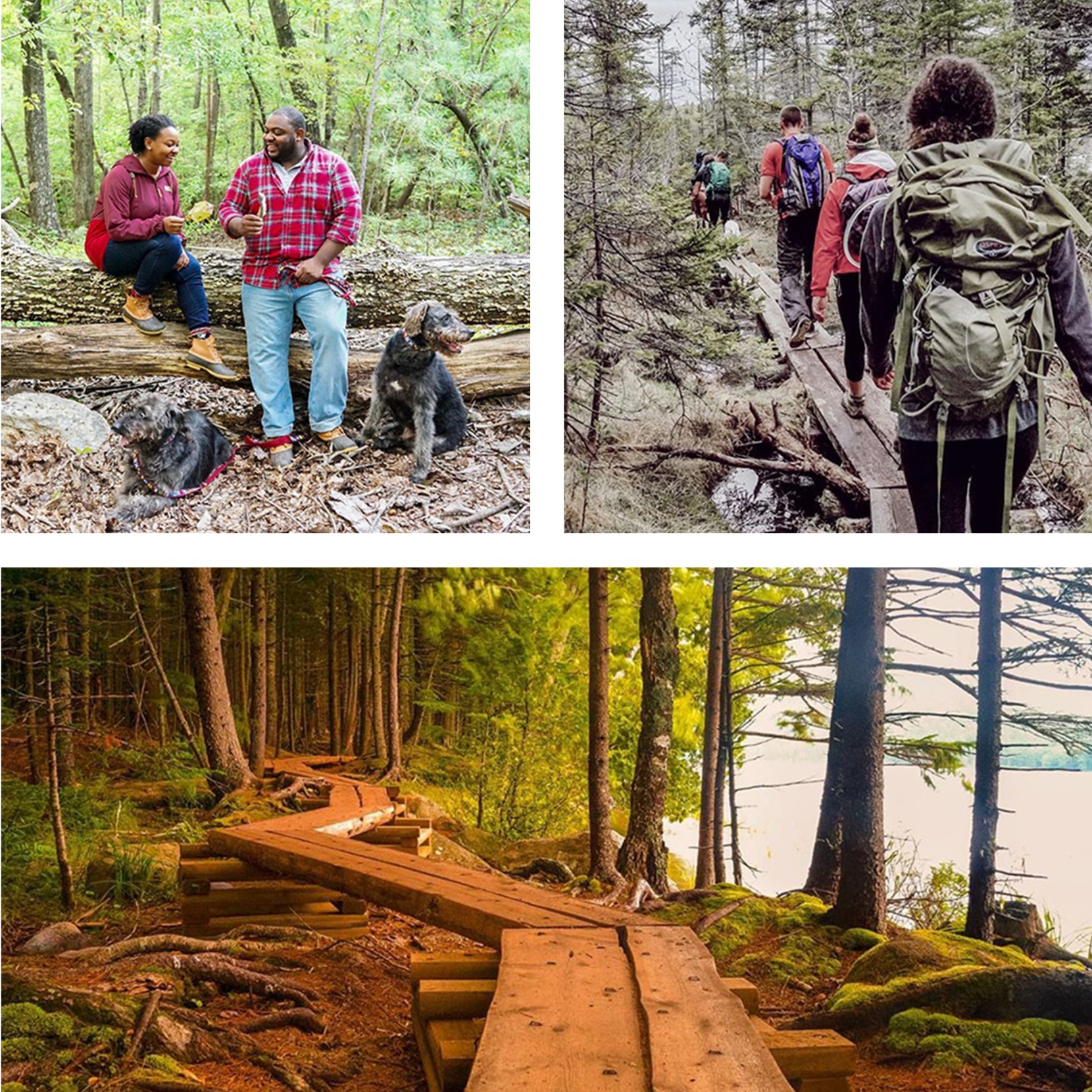 Three images of wooded coastal trails with people enjoying the outdoors.