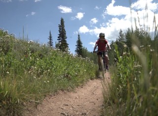 Person riding a bike on a dirt path through tall grass.