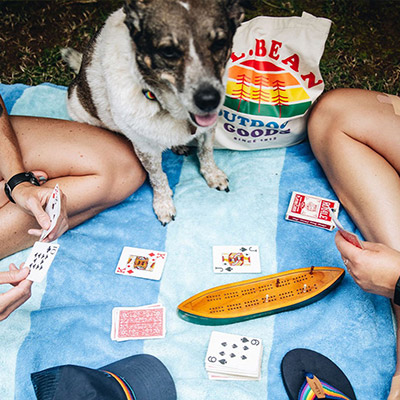 Towo people playing cards and having a picnic with their dog.