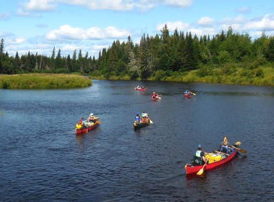 Maine Guides paddling in canoes