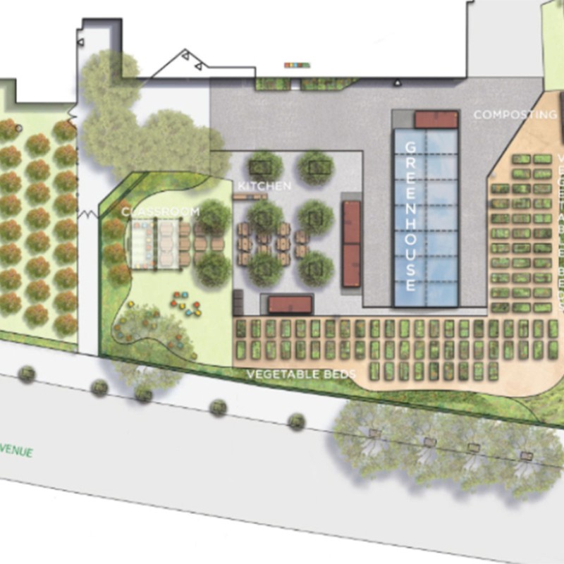 Rendering of a student run garden and greenhouse.