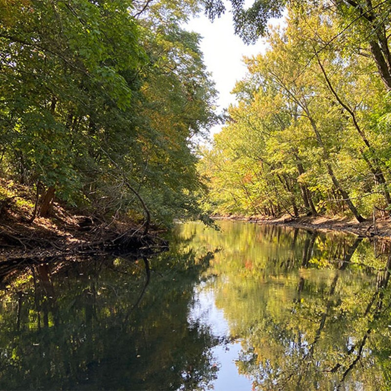 A peaceful tree-lined river.