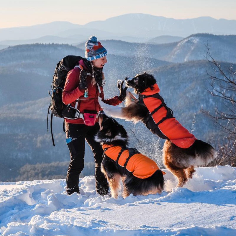 A woman wearing a backpack and two dogs on a snowy mountain top.