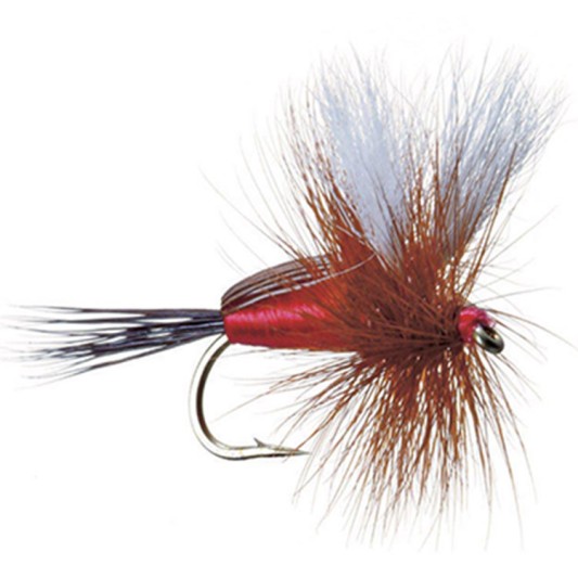 Red and brown attractor fly