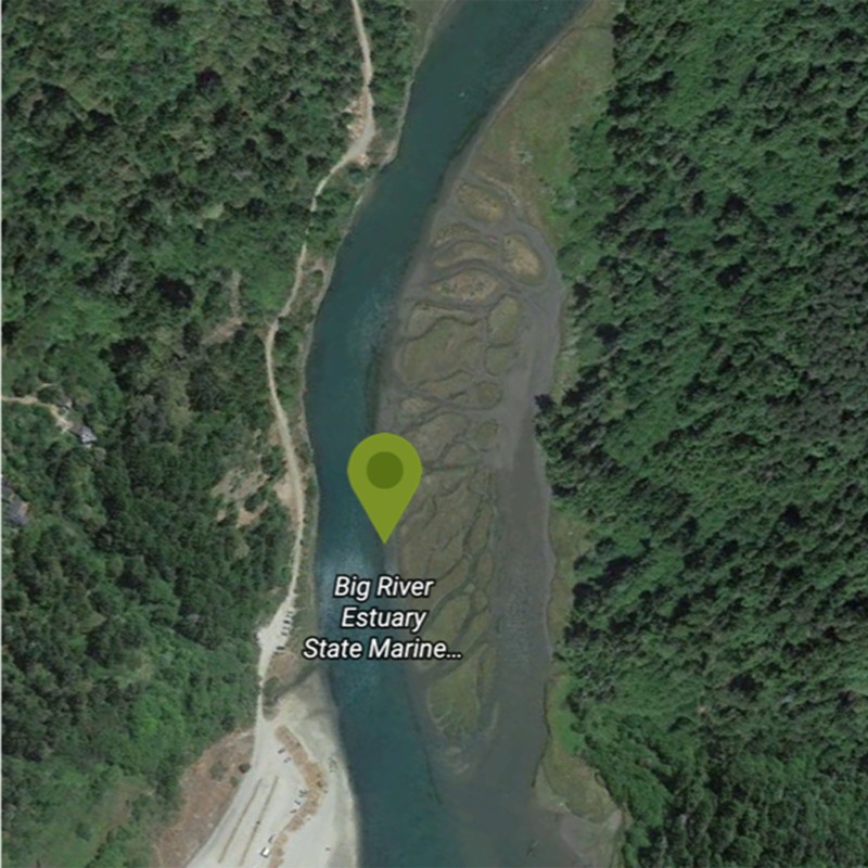 Satellite view of Big River in California.