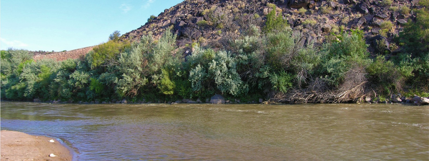 Middle Rio Grande