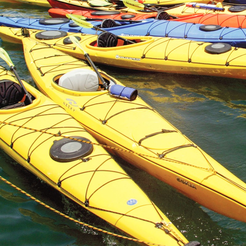 Group of kayaks in the water.
