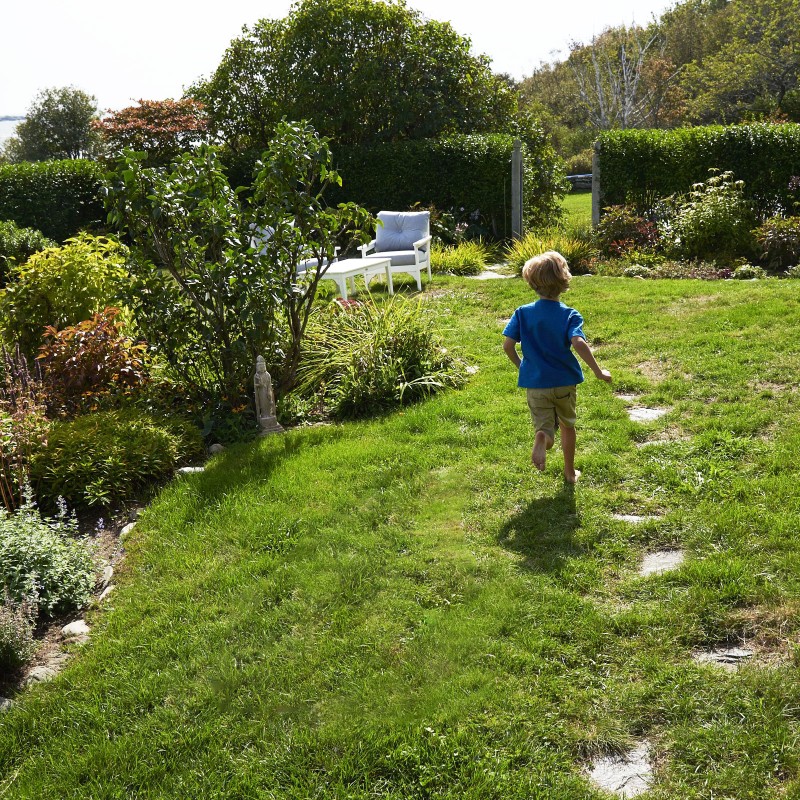 A child running in the backyard.