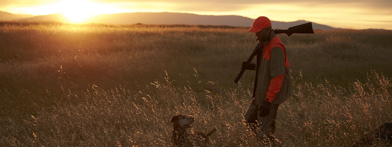 A Hunter walking in a field with his dog.