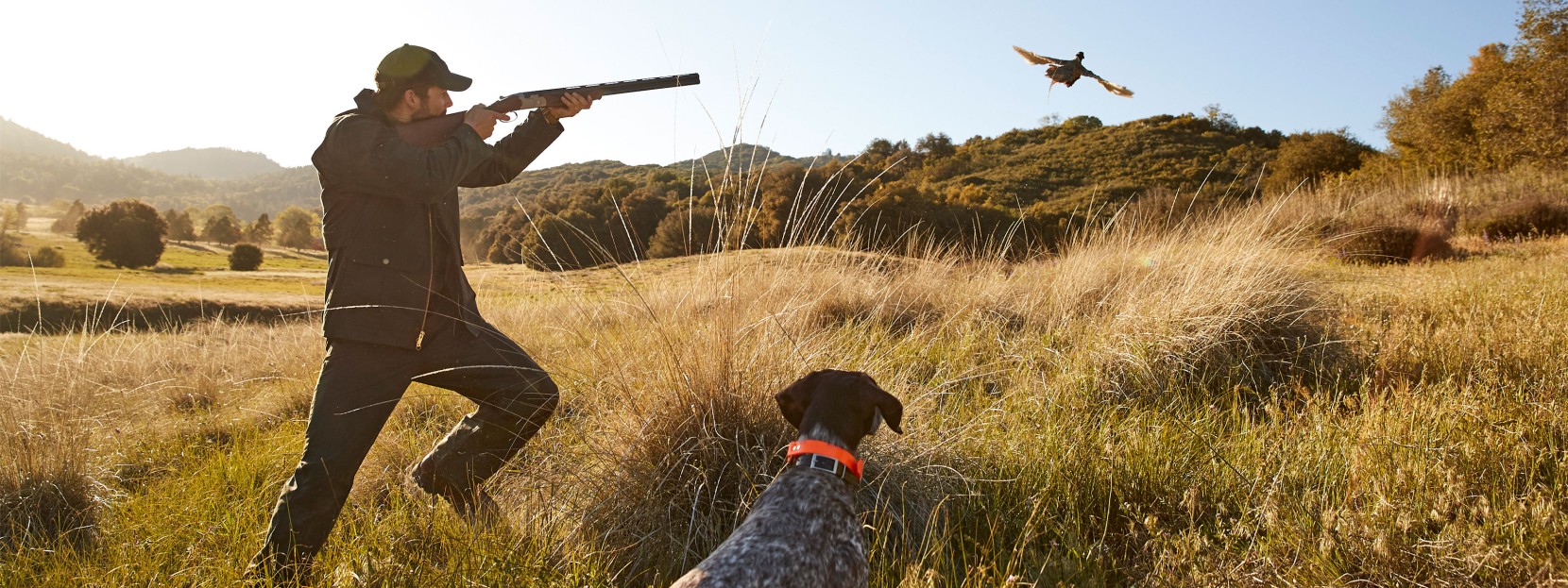 Hunter taking aim at a flying bird, dog at his side.