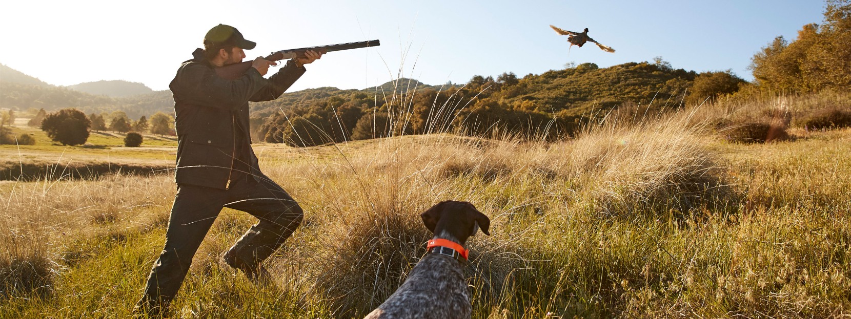 Get Started Upland Hunting