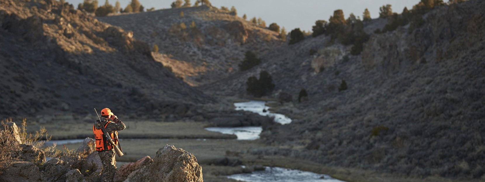 A hunter surveying the landscape