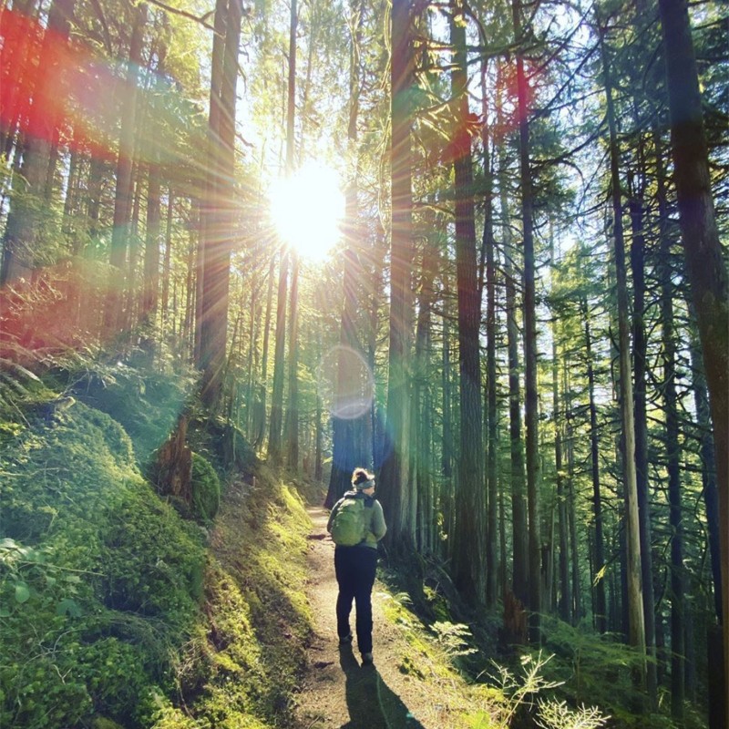 Woman walking on a trail in the woods, the sun bursting through the trees.