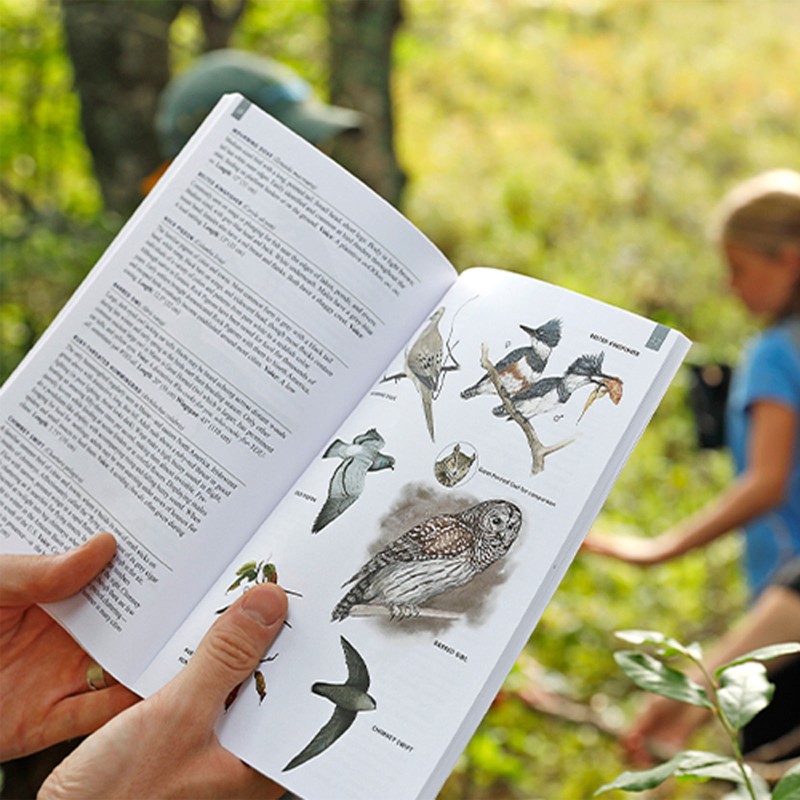 Close-up of hands holding open bird field guide and woman with 2 kids in the background.
