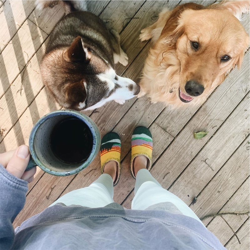 A person on a deck holding a cup of coffee, looking down at their dogs.