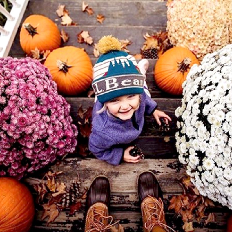 A toddler outside on porch steps surrounded by mums and pumpkins.
