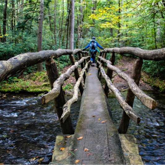 A footbridge in Great Smoky Mountains National Park.