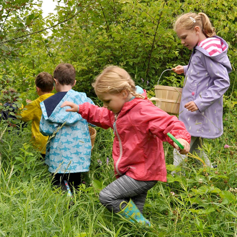 Children walking on wooden path in tall grass