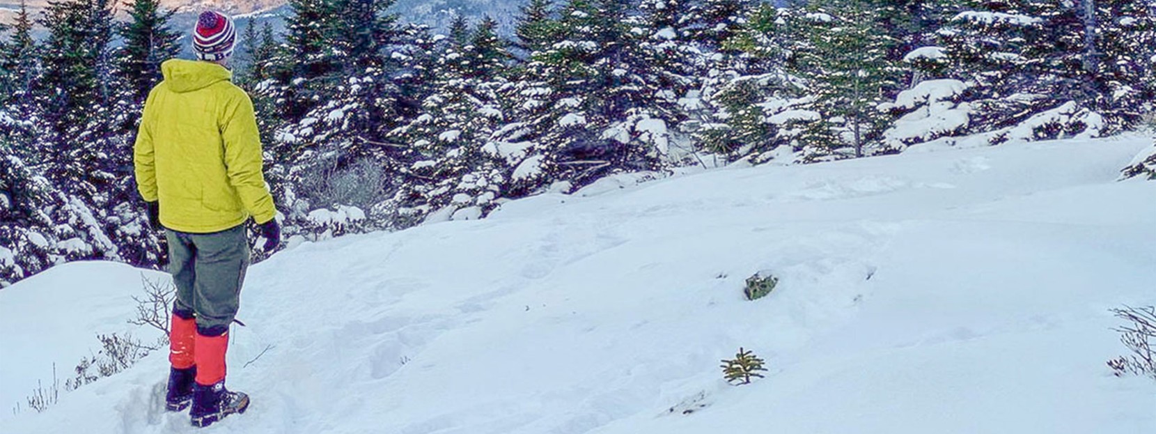 Dan Tarkinson on a mountainside in winter, enjoying the view.