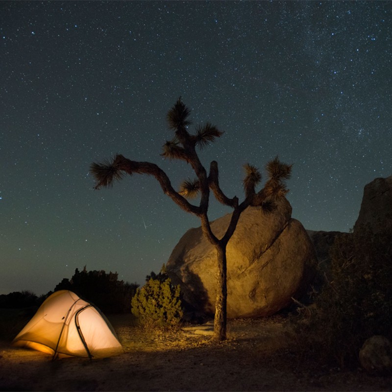 A starry sky above a glowing tent at a campground in Joshua Tree National Park, California.