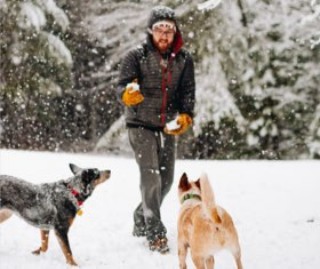 man playing in snow with two dogs