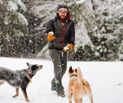 man playing in snow with two dogs