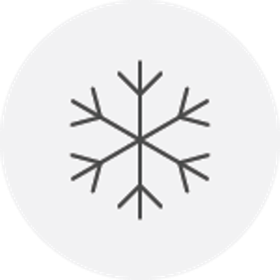 Winter Icon