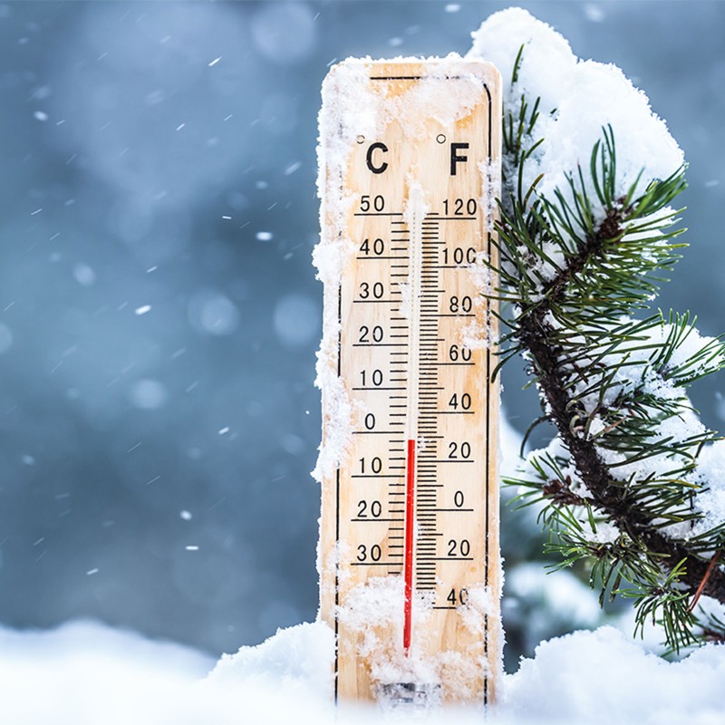 An outdoor thermometer propped against a snow-covered fir branch that reads -2 degrees.