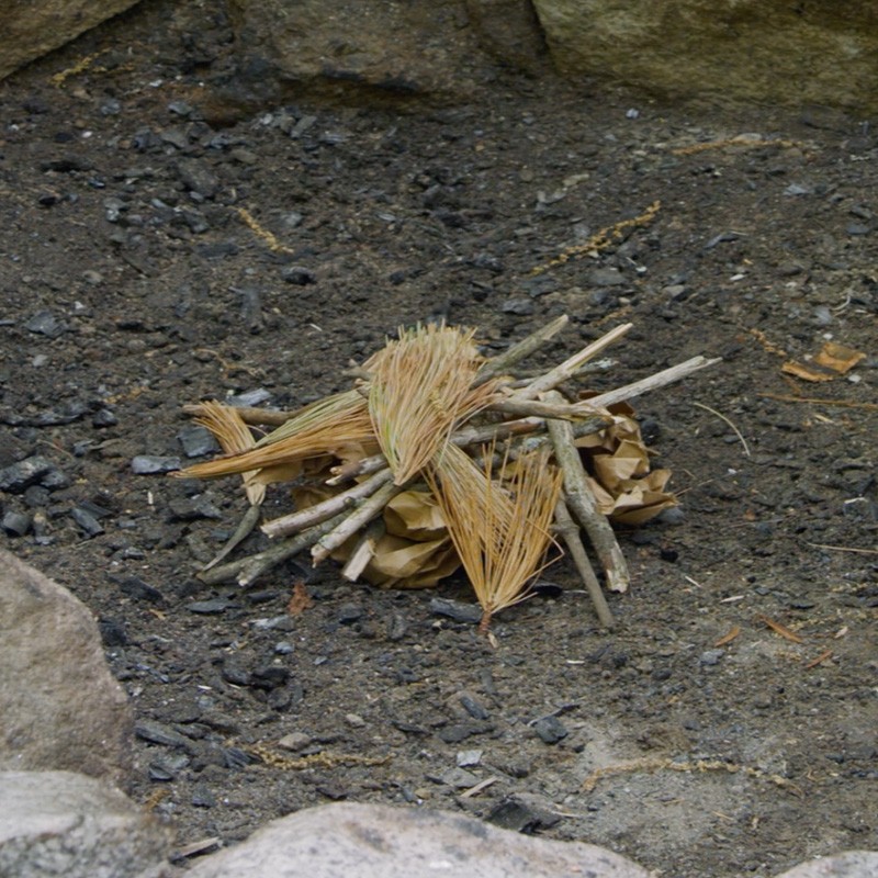 A pile of small twigs, pine needles and dry leaves in the center of a fire ring.