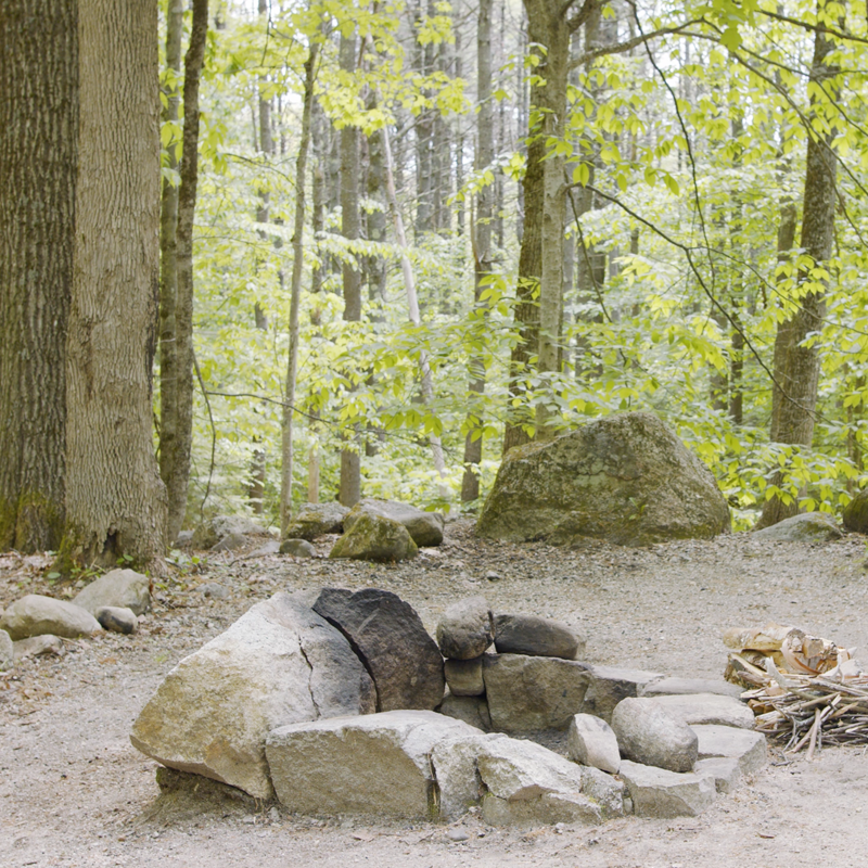 A circle of rocks, some blackened by fire, at a wooded campsite.