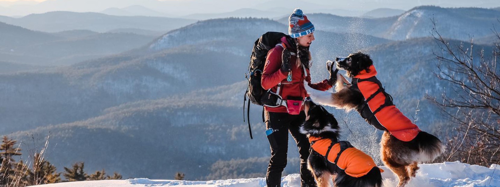 A woman wearing a backpack and 2 dogs wearing orange jackets atop a wintery mountain.