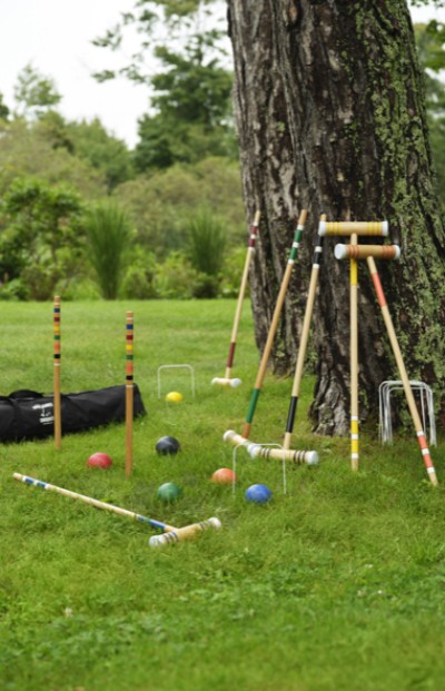 Image depicting a croquet game set up near a big tree