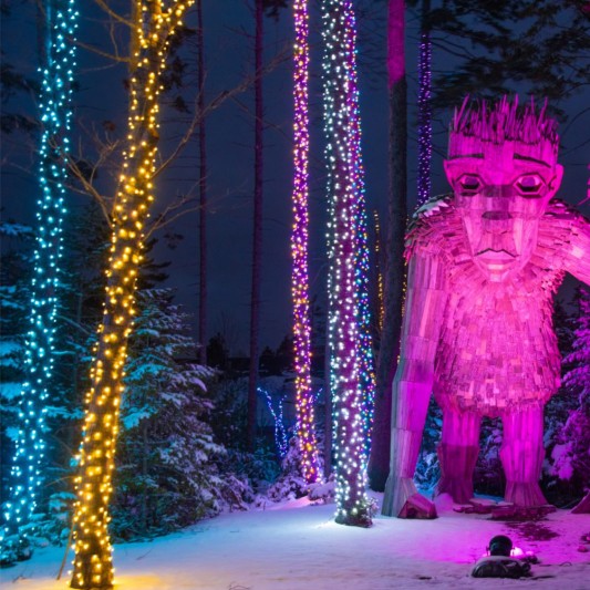 Colorful lights wrap snowy trees as a giant pink wooden troll sculpture stands illuminated in a winter forest at night.