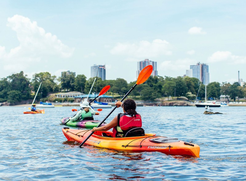 Several kayakers paddling in a harbor, a city scape in the background.