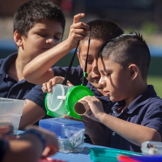 3 young students examining nature specimens in an outdoor classroom.