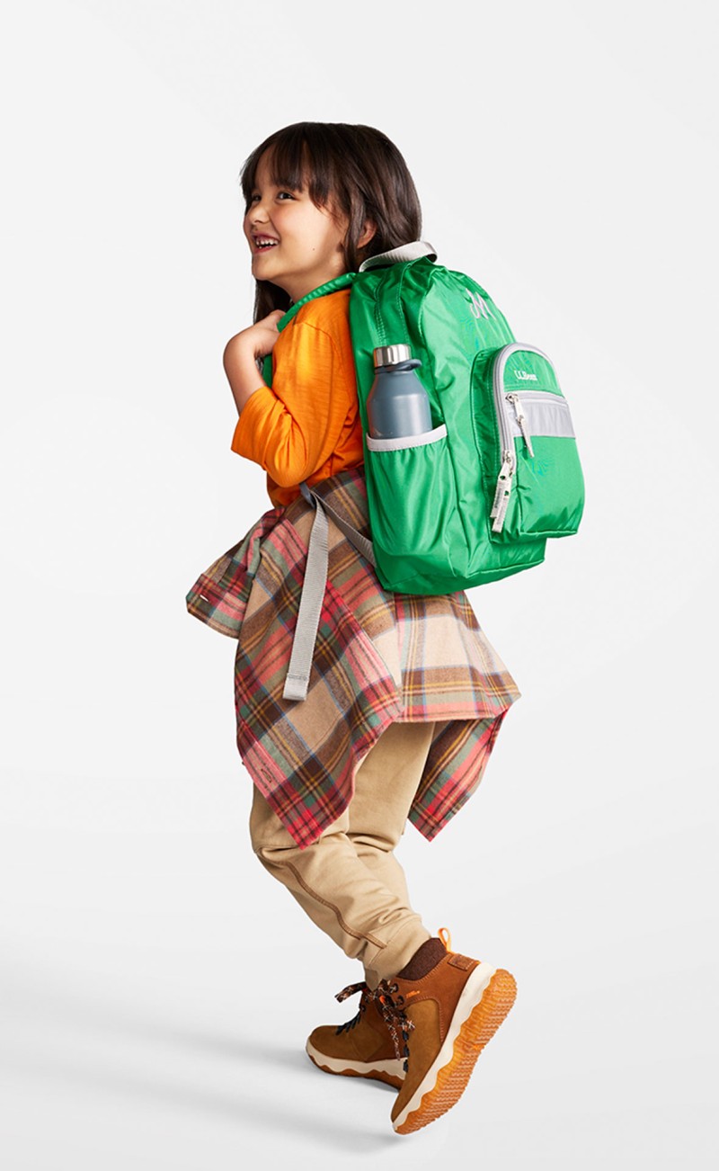Llbean original backpack online